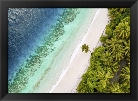 Framed Tropical Beach, Aerial View Print