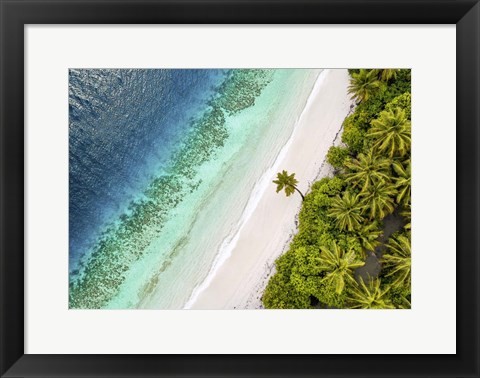 Framed Tropical Beach, Aerial View Print