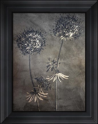 Framed Puff 2 Print