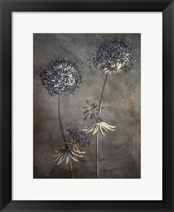 Framed Puff 2 Print