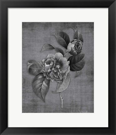 Framed Tranquil Botanical 21 Print