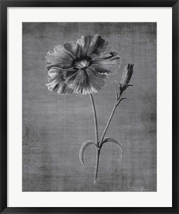 Framed Tranquil Botanical 31 Print