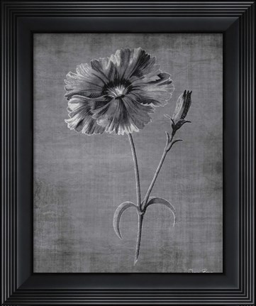 Framed Tranquil Botanical 31 Print