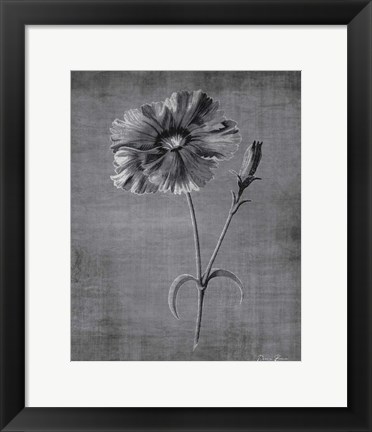 Framed Tranquil Botanical 31 Print