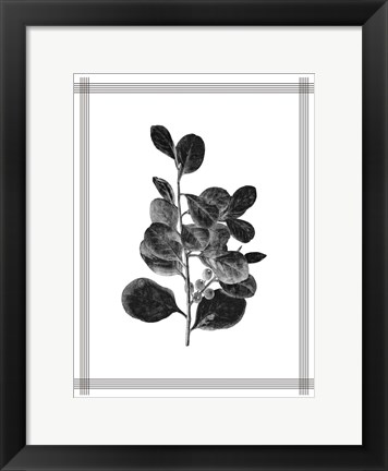 Framed Pressed 1 Print