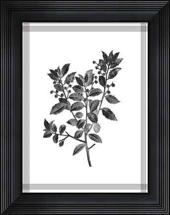 Framed Pressed 2 Print