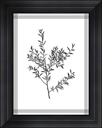 Framed Pressed 3 Print