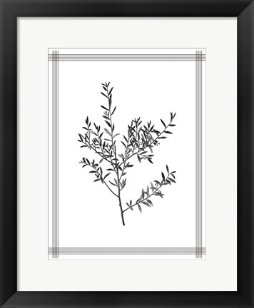 Framed Pressed 3 Print
