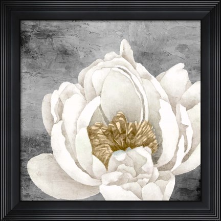 Framed Peony 2 Print