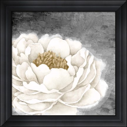 Framed White Peony Print