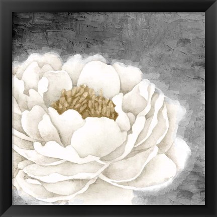 Framed White Peony Print