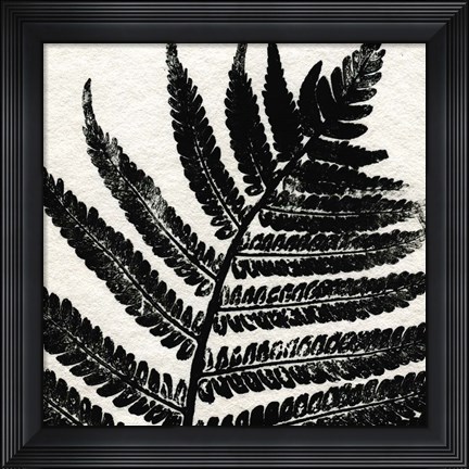 Framed Pressed Fern 1 Print