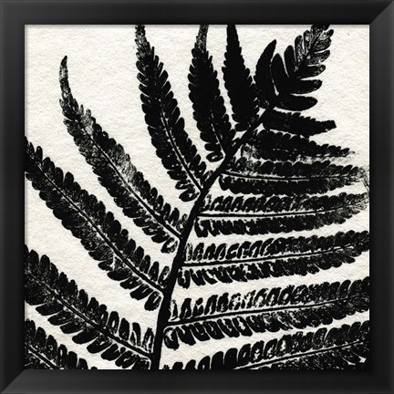 Framed Pressed Fern 1 Print