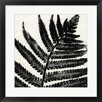 Framed Pressed Fern 1 Print