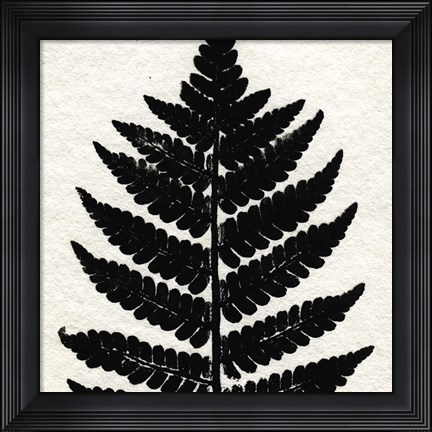 Framed Pressed Fern 2 Print
