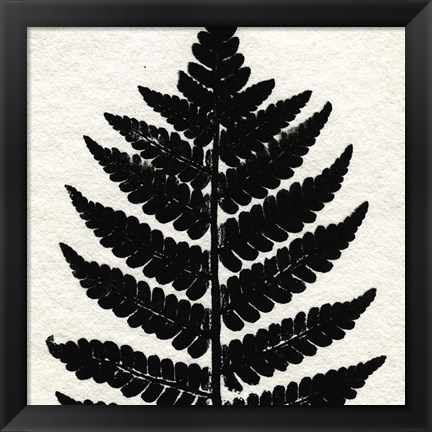 Framed Pressed Fern 2 Print