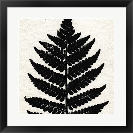 Framed Pressed Fern 2 Print