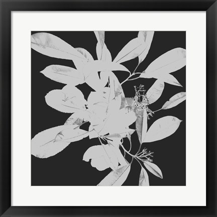 Framed Botanical Dark 1 Print