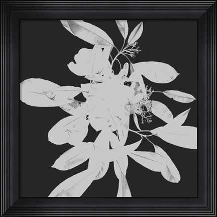 Framed Botanical Dark 2 Print