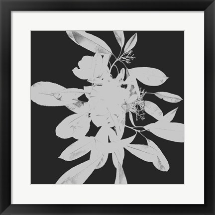 Framed Botanical Dark 2 Print