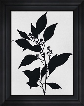 Framed Silhouetted Inverted Growth Print