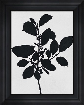 Framed Silhouetted Inverted Growth 2 Print