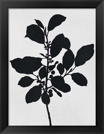 Framed Silhouetted Inverted Growth 2 Print