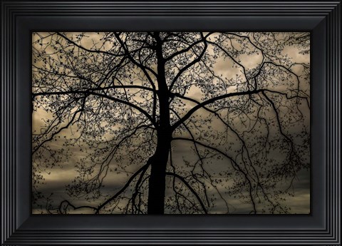 Framed Conversation Of Earth Print