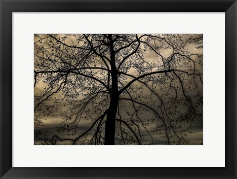 Framed Conversation Of Earth Print