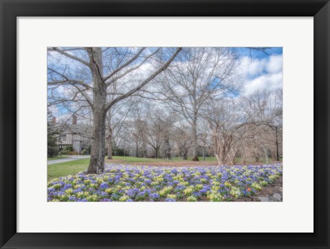 Framed Overdue Wonder Print