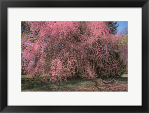 Framed Spectacular Message Print