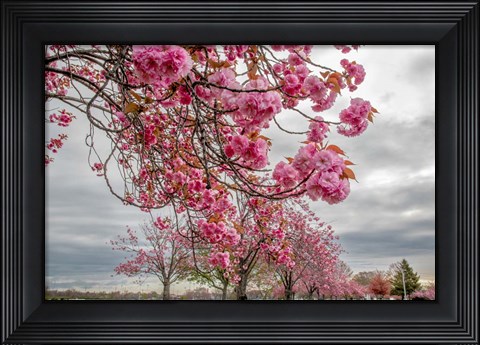 Framed Spiritual Switch 1 Print