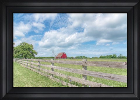 Framed Illustrious Stretch Print