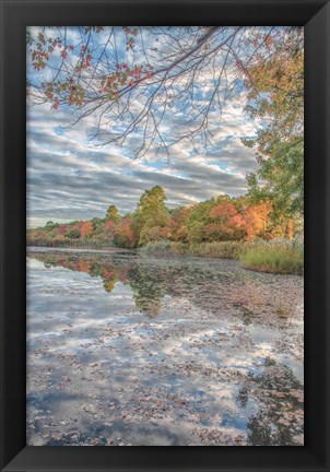 Framed Bayport Fall Print