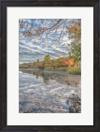 Framed Bayport Fall Print