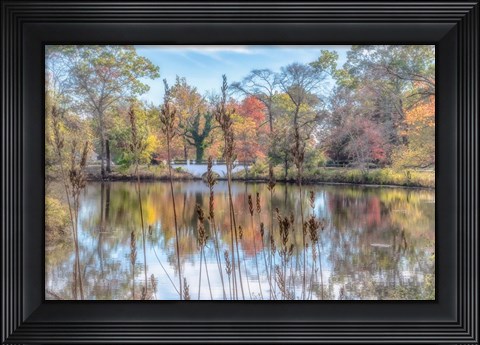 Framed Bayshore Print