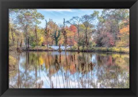 Framed Bayshore Print