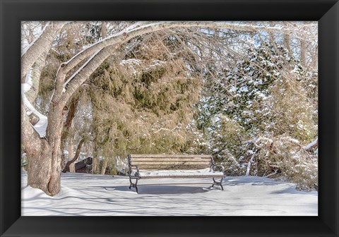 Framed Arboretum 1 Print