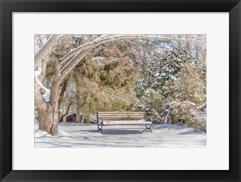 Framed Arboretum 1 Print