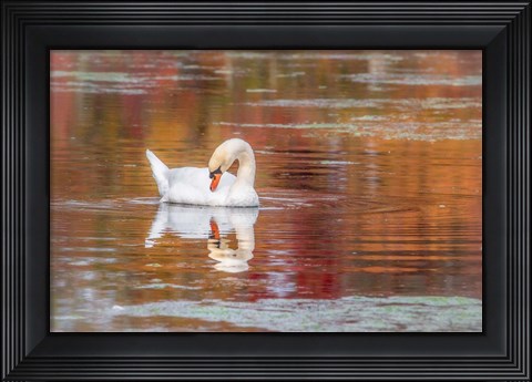 Framed Mill Pond October Print