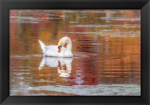 Framed Mill Pond October Print