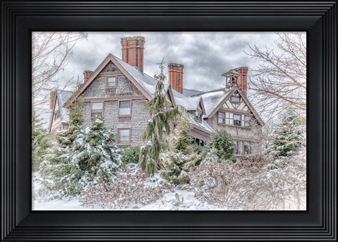 Framed Aboretum December 1 Print
