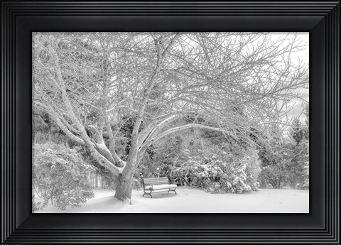 Framed Aboretum December 2 Print