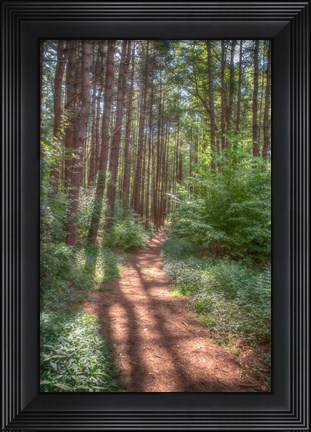 Framed Hollow Fall Print