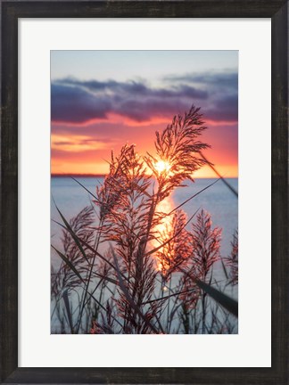 Framed Exhilarated Potential Print