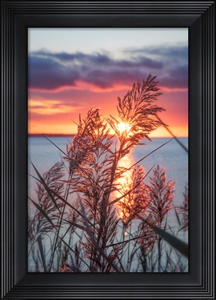 Framed Exhilarated Potential Print