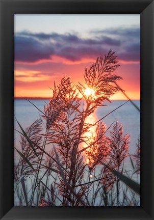 Framed Exhilarated Potential Print