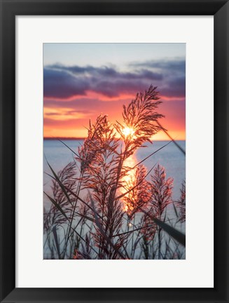 Framed Exhilarated Potential Print