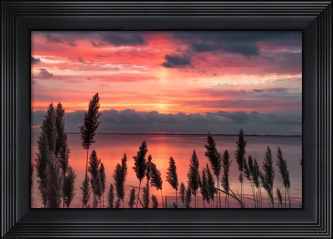 Framed Aspiring Priority Print