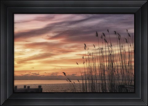 Framed Exclusive Liberty Print